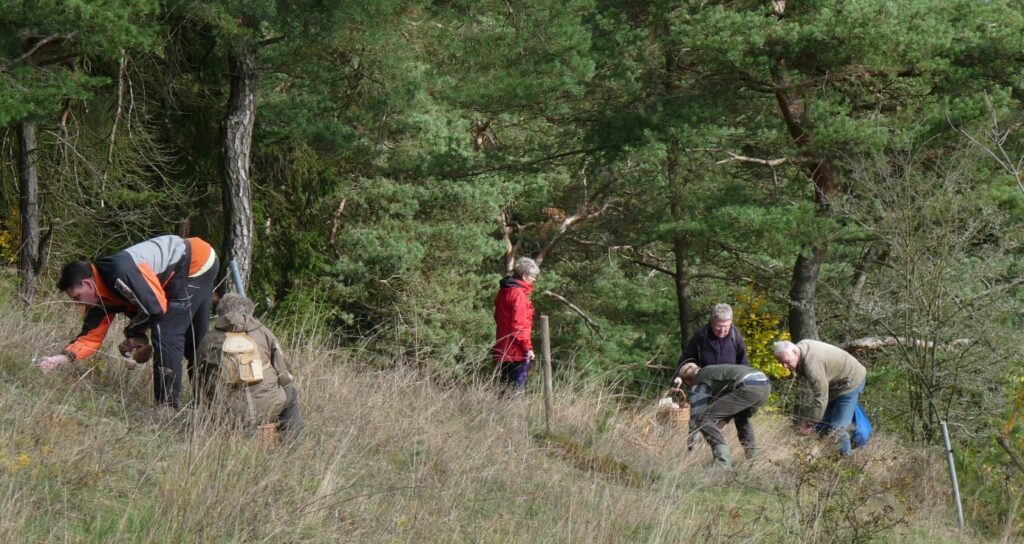 2016 Exkursion Gräfenthal (Foto: J.Girwert)